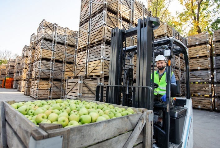 Fresh apples prepared for export and distribution from Latin America to international buyers and global markets.