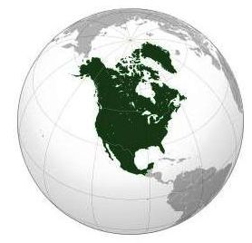 América+do+Norte,+América+Central+e+América+do+Sul (1).jpg